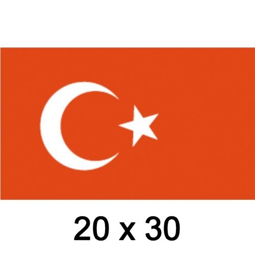 Flagge Gastland Türkei 20x30