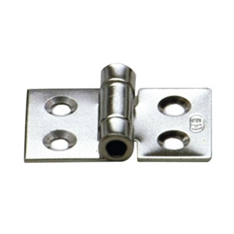 Sprenger Scharnier Edelstahl 50x30 / 4L